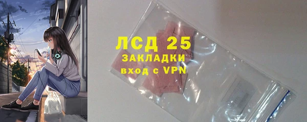 стаф Бородино