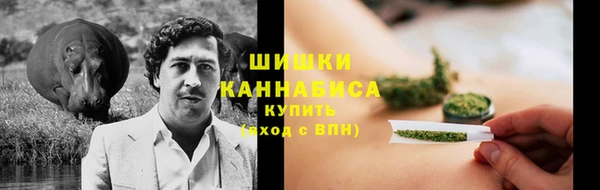 spice Богородицк