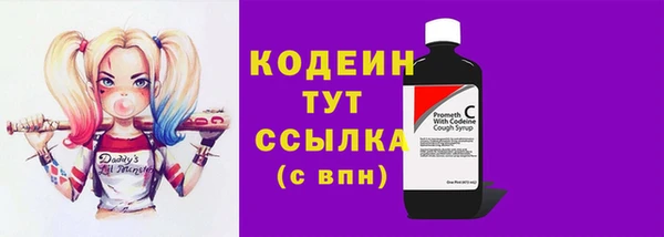 стаф Бородино