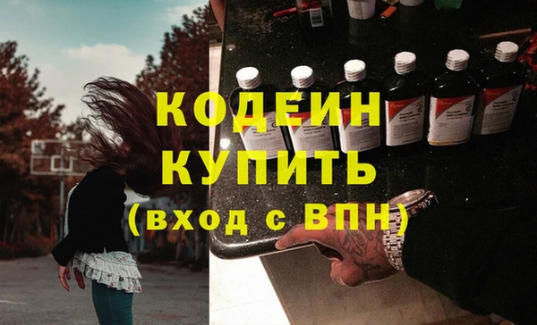 стаф Бородино
