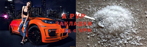 стаф Бородино