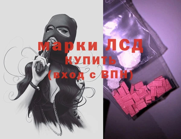 стаф Бородино