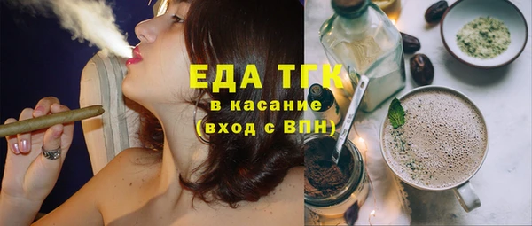 стаф Бородино